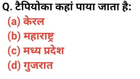 UPTET/CTET -2023 | #EVS Environment Mock Test-6 | EVS Questions Answers | By Alok Singh