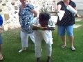 Watermelon Eating Contest