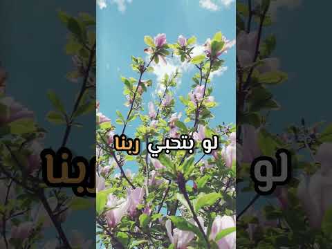 جربي تلبسي الحجاب د حازم شومان