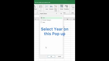 Using Slicer in Pivot table #exceltech #exceltips #exceleducation #excelfeature #exceltricks