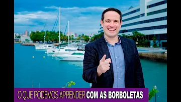 O que aprender com as borboletas?