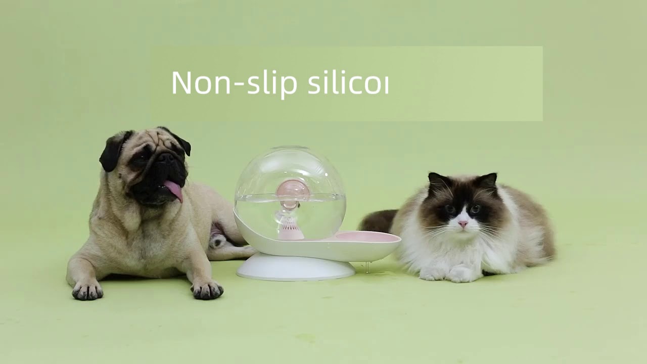 Snail shape cat water fountain