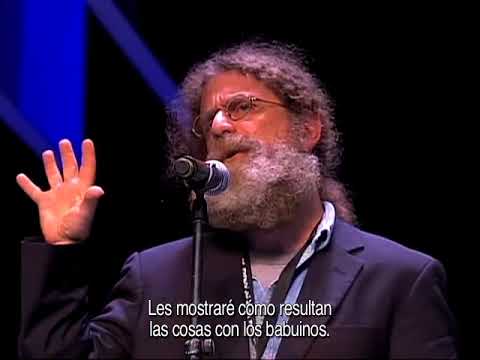 The art of analyzing species - Robert Sapolsky - CDI 2011