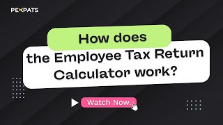 How To Get A Czech Employee Tax Refund Tax Discounts, Bonuses & Crypto Income Explained