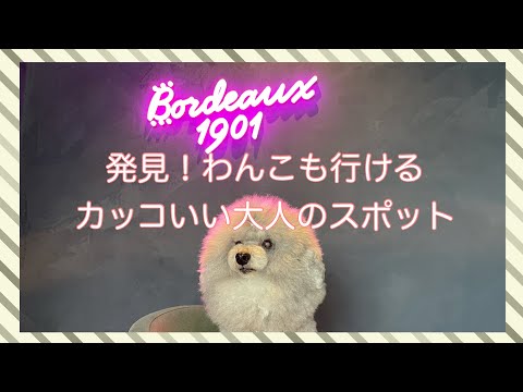 アウトドア用品・車・ロングドライブ・陶芸など・・・男のロマンを感じるお出かけを楽しんだ２日間の記録です。