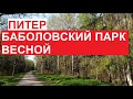 Баболовский парк весной | #Петербург, середина мая 2023