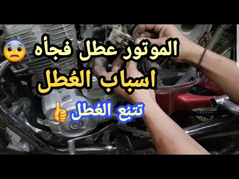 تصویری: شرح اسب موش