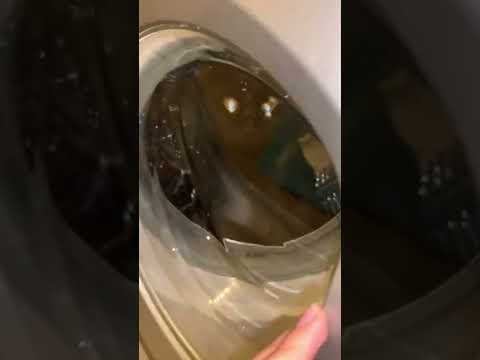 Первый полет кота в стирку 😹#shorts #short #shortvideo s#status s