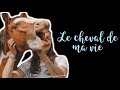 Le cheval de ma vie  notre histoire   audio