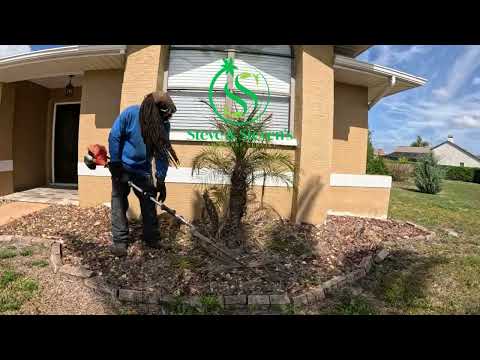 Steve S Landscape Services