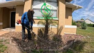 Flowerbed Cleanup Timelapse Spring Hill FL