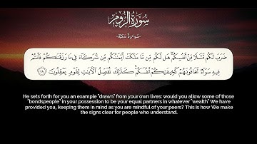 طارق محمد سورة الروم