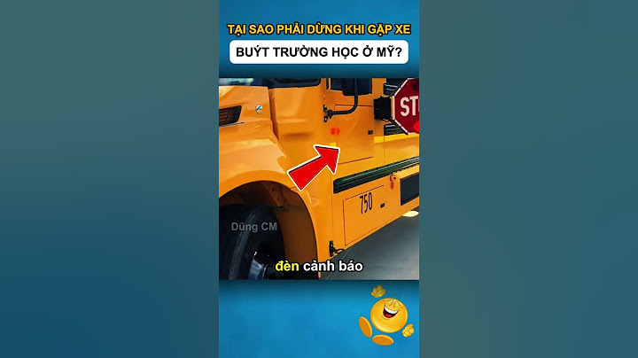 Tại sao phải dừng khi gặp xe buýt trường học ở mỹ?