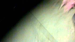 VID-20110902-00024.3GP