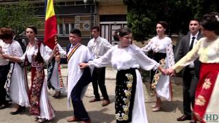 Daniela Stefan \u0026 Formatia - Ardeleana  live - Nunta Gheorghe si Sofica Full HD 2016
