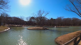 Tokyo walk - Yoyogi Park - 4K