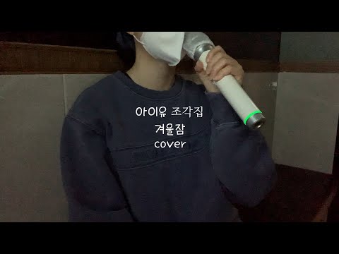 아이유(IU) - 겨울잠(Winter Sleep)ㅣ노래방 라이브 커버