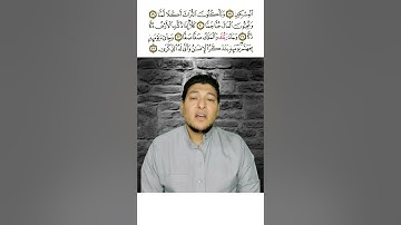 سورة الفجر | القارئ :تامر فاروق