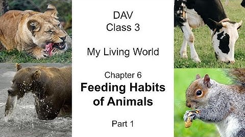 DAV Class 3 Science Chapter 6 Feeding Habits of Animals Part 1 #DAV #Class3 #Science #Ch6 #EVS