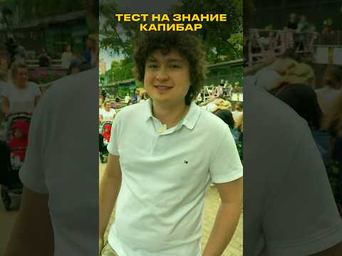 Тест на знание капибар для автора песни про капибару😜