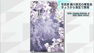 蜷川実花 展覧会「瞬く光の庭」開催