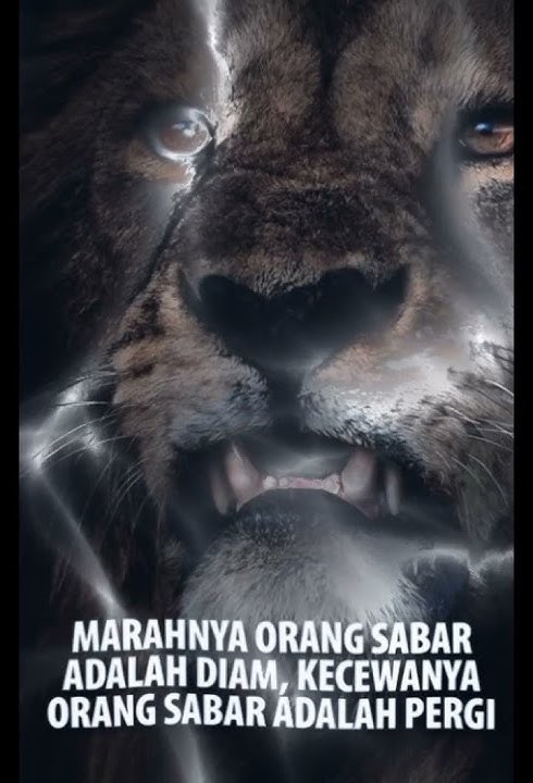 Story WA Marahnya orang sabar #shorts