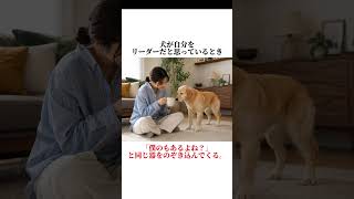 犬が自分をリーダーだと思っているときにする行動5選