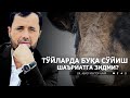 ТЎЙЛАРДА БУҚА СЎЙИШ ШАРИАТГА ЗИДМИ? - DR. АБРОР МУХТОР АЛИЙ