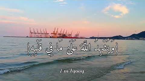 القارئ عبدالله الموسى - {ومن الناس من يعجبك قوله في الحياة الدنيا ويشهد الله على ما في قلبه}