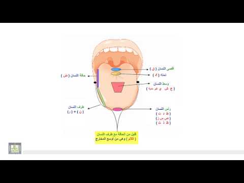 تجويد 6 3 توزيع الحروف على المخارج اللسان