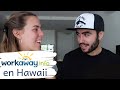 Hawaii, ¿vale la pena? |  Workaway en Hawaii