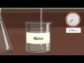 Role of Carbon Dioxide in Respiration