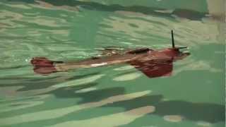 Gliding Robotic Fish 