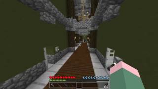 Minecraft roleplay Terminator #1