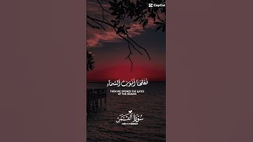 فَدَعَا رَبَّهُ أَنِّي مَغْلُوبٌ فَانْتَصِرْ 🤲 ((سورة القمر )) آية (10) 🌴🍃#قرآن #أكتب_شي_تؤجر_عليه