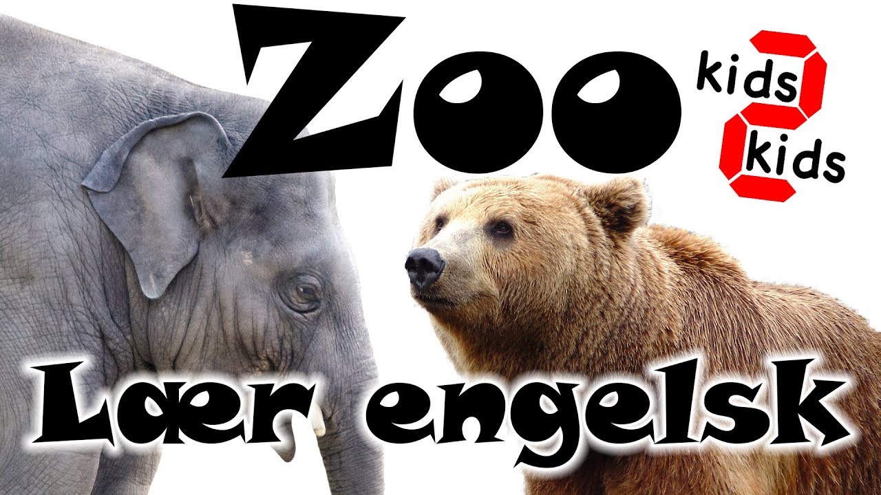 Learn english animal names. Lær dyrenes navne på engelsk i Københavns