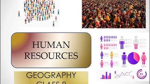 HUMAN  RESOURCES  #CLASS 8 #learn