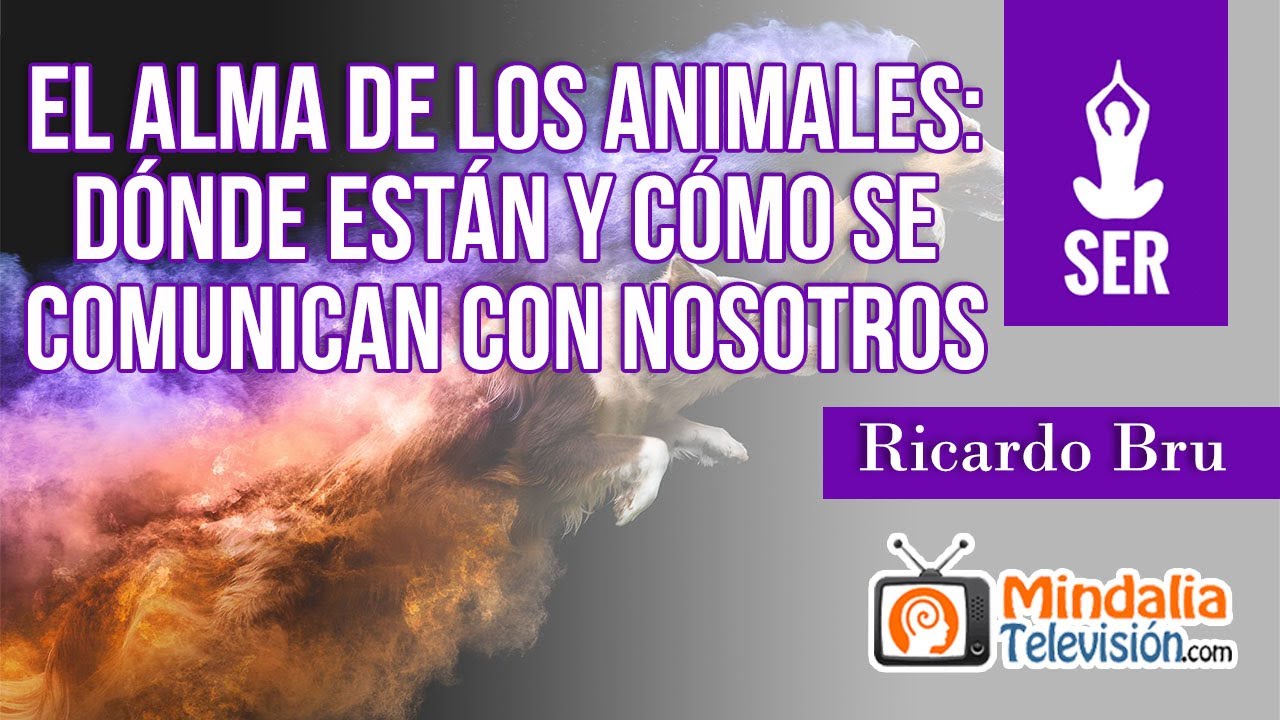 El alma de los Animales dónde están y cómo se comunican con nosotros