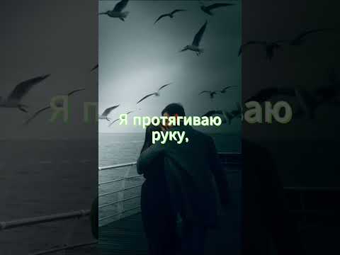 Wasted Love |