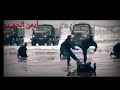 مرجان تتمدد