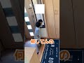 居ない何かに引き寄せられるように玄関にずっといる3歳児