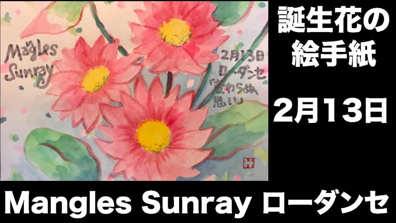 誕生花の絵手紙 2月13日 Mangles Sunray ローダンセ Youtube
