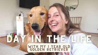 DAY IN THE LIFE OF MY 1 YEAR OLD GOLDEN RETRIEVER / TRYING NEW HEALTHY TREATS