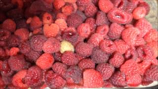 Garden red raspberries-tip- 9 -16 -14