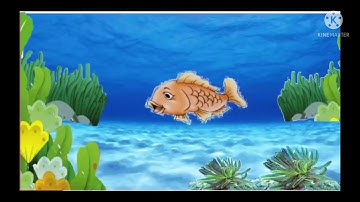 Cá chép con thắc mắc - Kể chuyện cho bé 