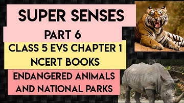 super senses / ncert class 5 evs chapter 1 / super senses class 5 evs chapter 1 / Super Senses