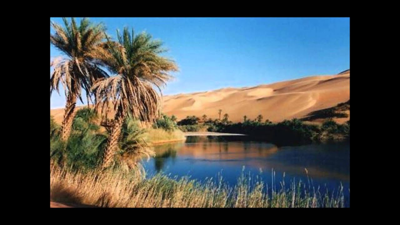 финиковая пальма в древнем египте. кумакская пустыня оренбург. как называется островок зелени среди пустыни. как называется островок зелени среди пустыни. островок зелени в египетской пустыне.