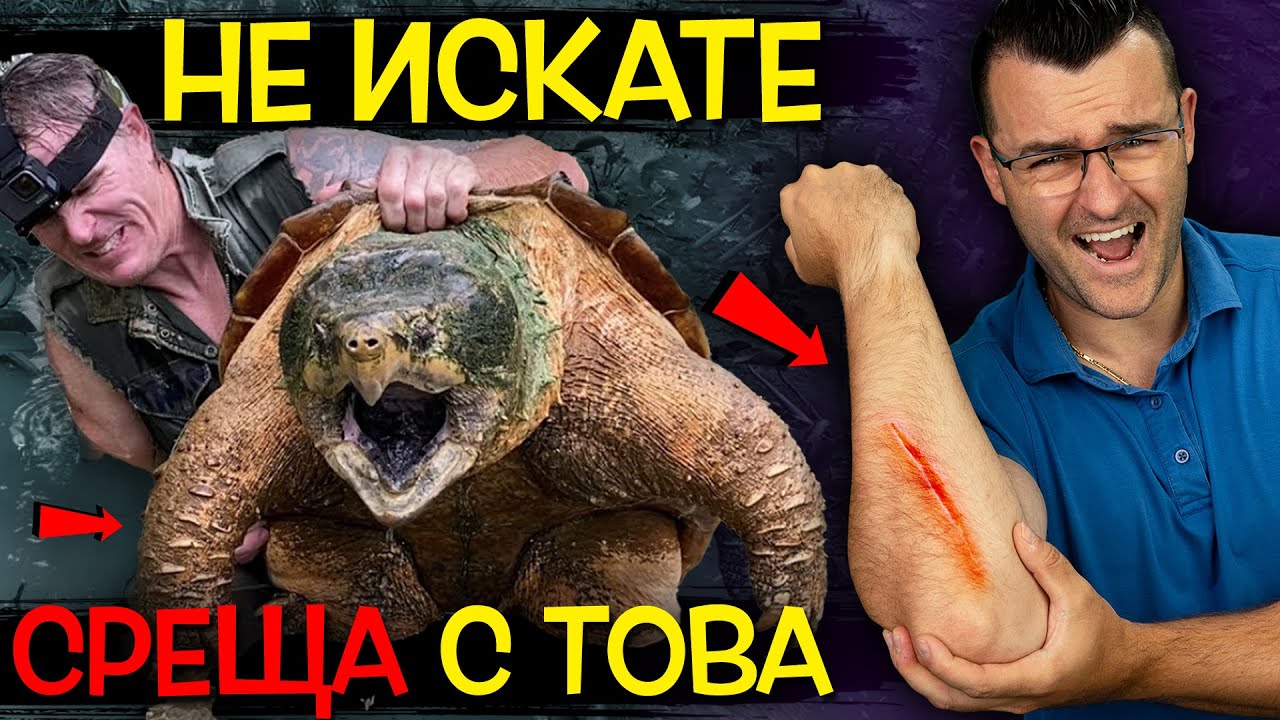 15 ПРАИСТОРИЧЕСКИ СЪЗДАНИЯ, които са ЖИВИ ДО ДНЕС