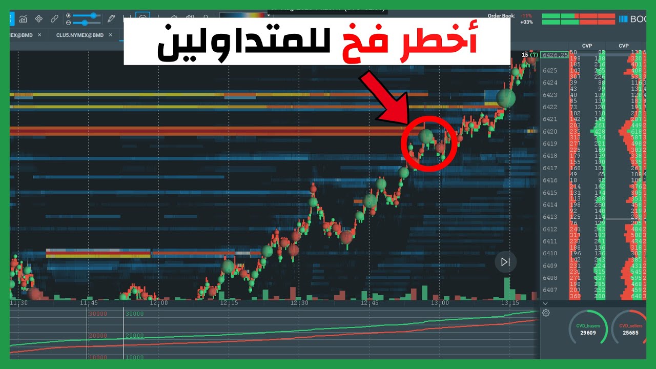 استراتيجية المحترفين: كيف حولنا فخ البيع إلى صفقة شراء ناجحة باستخدام Bookmap