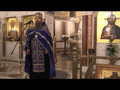 О встрече Святейшего Патриарха Кирилла и Папы Римского Франциска